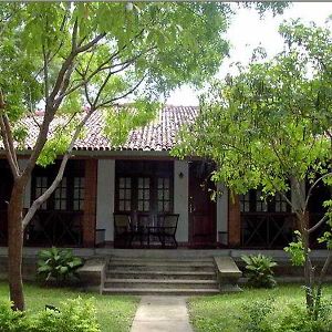 Palm Garden Village Hotel
